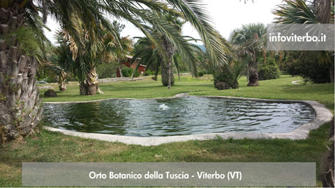 Orto Botanico della Tuscia - Viterbo (VT)