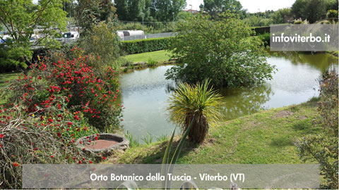 Orto Botanico della Tuscia - Viterbo (VT)